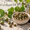 capperi eoliani dop